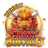 CRAZY BUFFALO