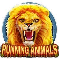 Running Animals